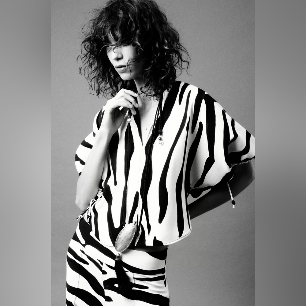 Zara Black and White Zebra Print Top Blouse